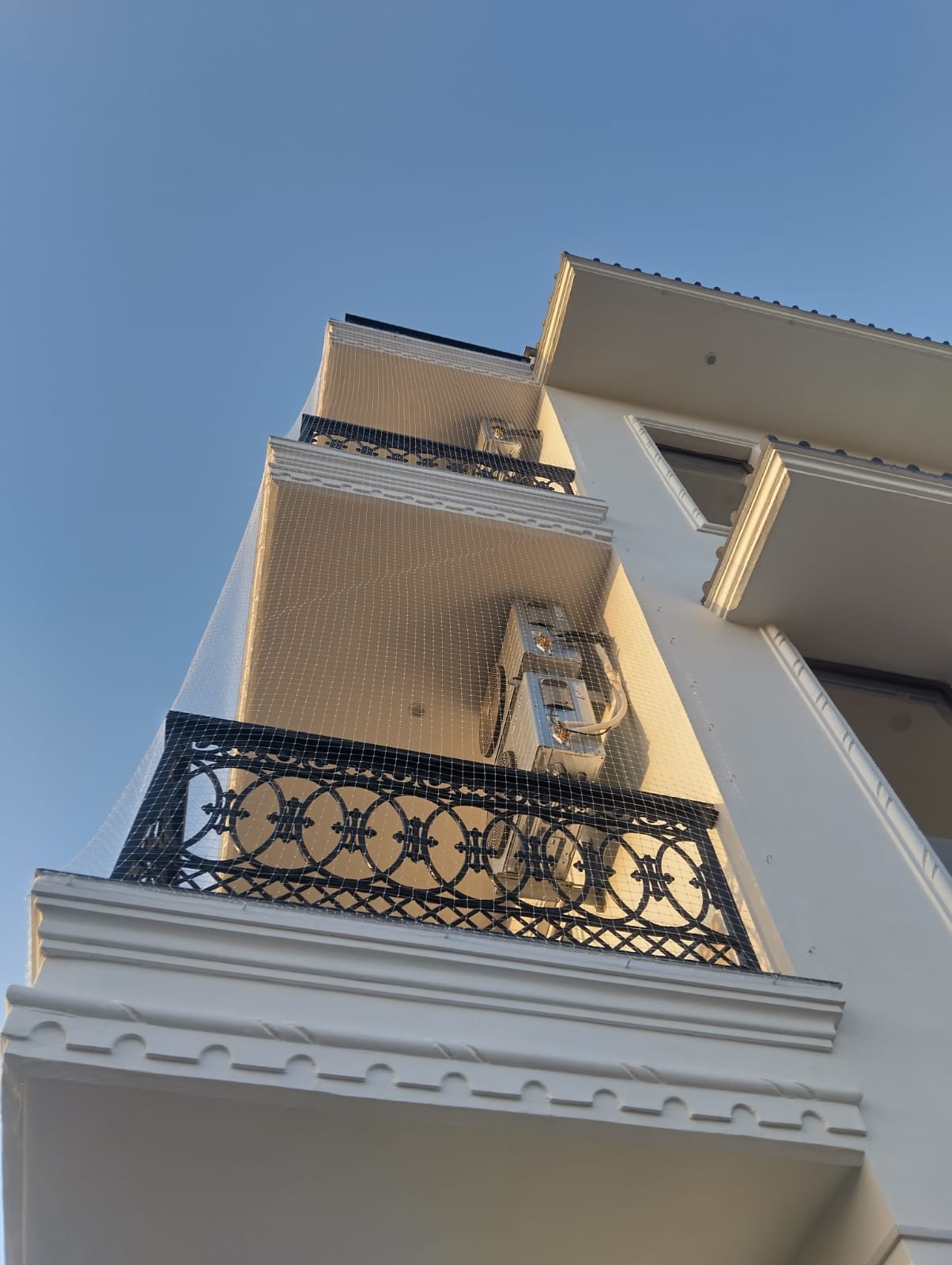 Bird Net Installation Services