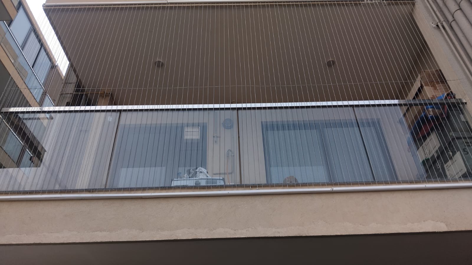 Bird Control FAQ Image